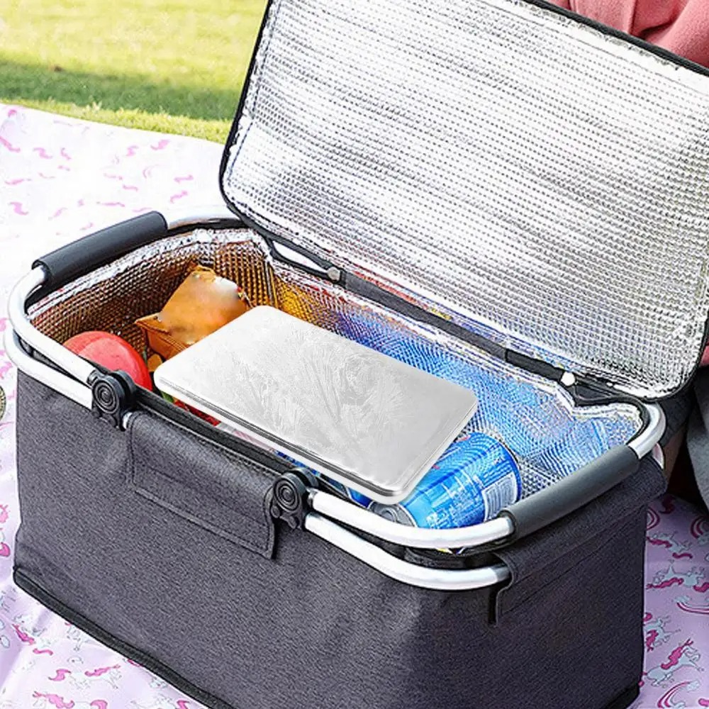Reusable Stainless Steel Ice P - Meal Prep Quick のレビューと価格